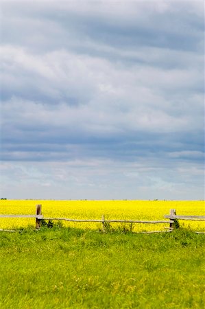 Prairie landscape with old fence line. Stock Photo - Budget Royalty-Free & Subscription, Code: 400-04015767