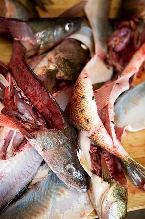 A detail image of fish freshly filleted Foto de stock - Royalty-Free Super Valor e Assinatura, Número: 400-04015815