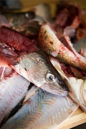 A detail image of fish freshly filleted Foto de stock - Royalty-Free Super Valor e Assinatura, Número: 400-04015816