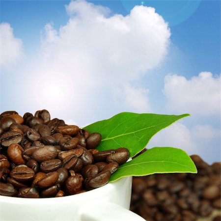 simsearch:400-04094520,k - Fresh coffee concept. Fotografie stock - Microstock e Abbonamento, Codice: 400-04016030