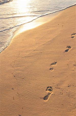 simsearch:400-05915242,k - Footprints on sandy tropical beach at sunrise Foto de stock - Super Valor sin royalties y Suscripción, Código: 400-04016148
