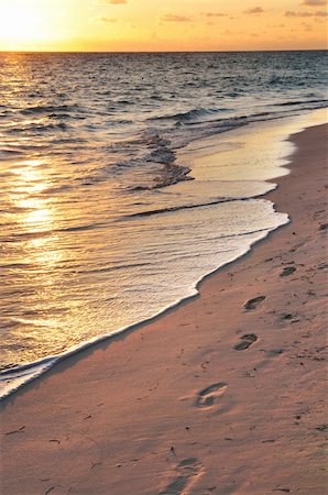 simsearch:400-05915242,k - Footprints on sandy tropical beach at sunrise Foto de stock - Super Valor sin royalties y Suscripción, Código: 400-04017122