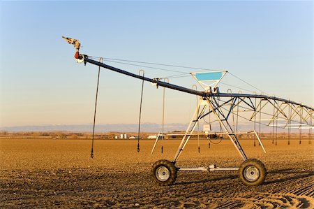 sascha (artist) - agriculture industry - modern automated irrigation sprinkler system in late sun, blue sky Fotografie stock - Microstock e Abbonamento, Codice: 400-04017391