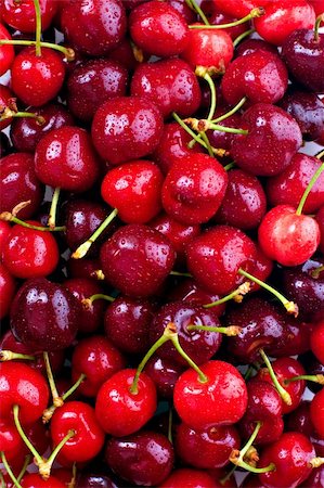 simsearch:400-08110532,k - Red cherries, with water droplets. Stock Photo - Budget Royalty-Free & Subscription, Code: 400-04018760