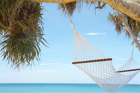 simsearch:400-04243517,k - view of nice white  hammock hanging between two palms Foto de stock - Super Valor sin royalties y Suscripción, Código: 400-04018867