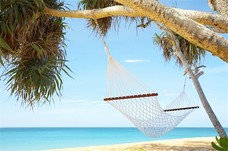 simsearch:400-04243517,k - view of nice white  hammock hanging between two palms Foto de stock - Super Valor sin royalties y Suscripción, Código: 400-04018863