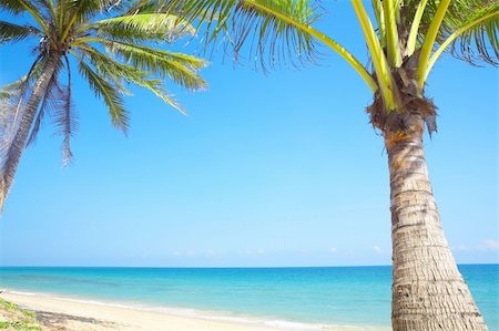 simsearch:400-04243517,k - View of nice tropical empty sandy beach with some palms Foto de stock - Super Valor sin royalties y Suscripción, Código: 400-04019048