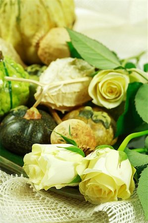 simsearch:400-05674539,k - Still life or table decoration for Thanksgiving Stock Photo - Budget Royalty-Free & Subscription, Code: 400-04019598