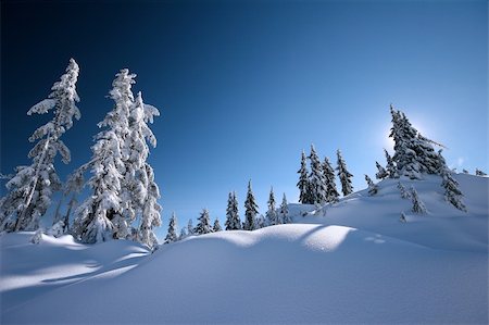 solitaire - Backlighting with polarized lens after a snowfall Stock Photo - Budget Royalty-Free & Subscription, Code: 400-04019839
