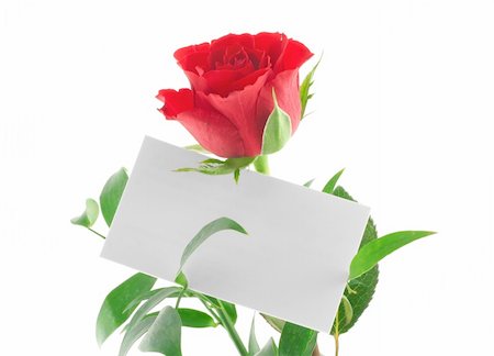 simsearch:400-05033064,k - single red rose with blank love note Foto de stock - Royalty-Free Super Valor e Assinatura, Número: 400-04019937
