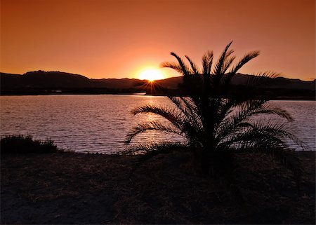 simsearch:400-05097850,k - Tropical sunset with palm tree silhouette and mountains Stockbilder - Microstock & Abonnement, Bildnummer: 400-04010258