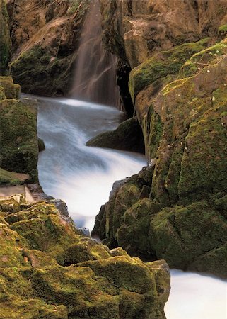 simsearch:400-04476069,k - The Ingleton glens the yorkshire dales national park england uk Photographie de stock - Aubaine LD & Abonnement, Code: 400-04010340