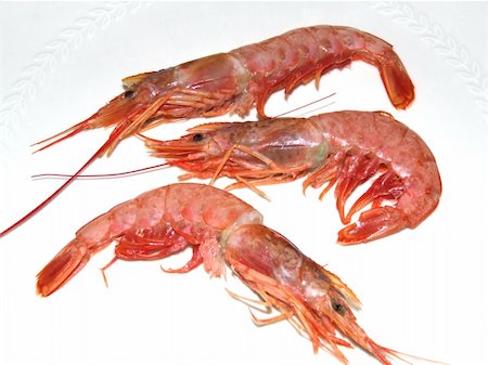 simsearch:400-04505555,k - Shrimps in a plate for a good meal Foto de stock - Royalty-Free Super Valor e Assinatura, Número: 400-04010851