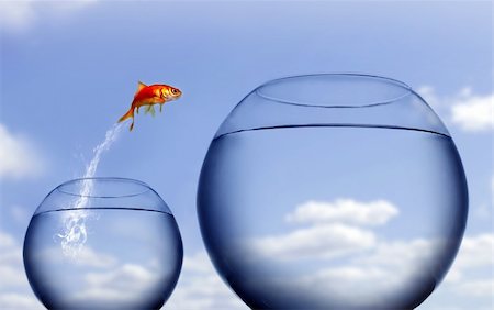 simsearch:400-05683187,k - goldfish jumping out of the water Foto de stock - Royalty-Free Super Valor e Assinatura, Número: 400-04012754