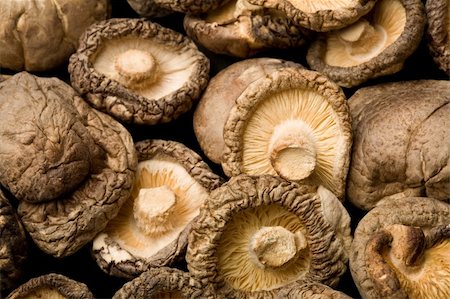 selectphoto (artist) - Dried Shiitake Mushrooms (Lentinula edodes) Stock Photo - Budget Royalty-Free & Subscription, Code: 400-04012762