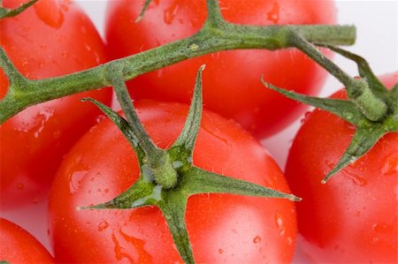 slicky (artist) - macro wet red fresh tomato on white Foto de stock - Royalty-Free Super Valor e Assinatura, Número: 400-04013493