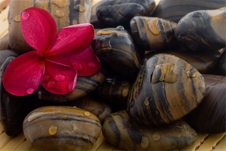 Frangipani flower and polished stone on tropical bamboo mat Stockbilder - Microstock & Abonnement, Bildnummer: 400-04013588