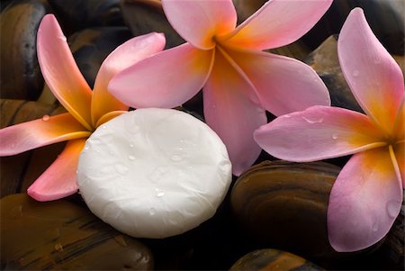 red flowers in stone images - Aromatherapy and spa massage on tropical bamboo and polished stones. Stock Photo - Budget Royalty-Free & Subscription, Code: 400-04013591