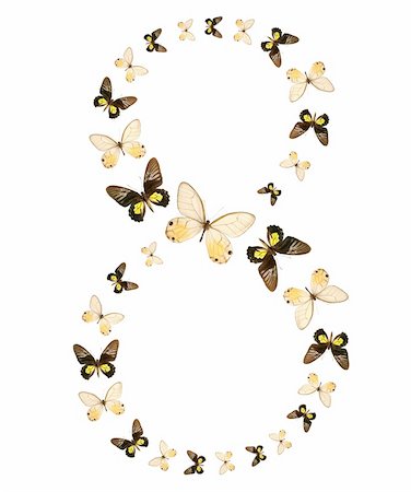 eight number butterfly show isolated Stock Photo - Budget Royalty-Free & Subscription, Code: 400-04025751