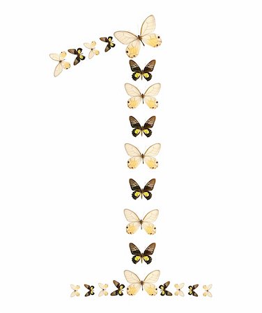 One number butterfly show isolated Stock Photo - Budget Royalty-Free & Subscription, Code: 400-04026151