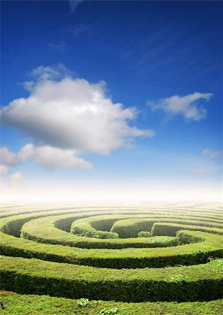 formal garden maze - Hedge maze under a summers sky, problem solving concept Stock Photo - Budget Royalty-Free & Subscription, Code: 400-04026890