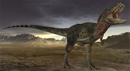 3D Render of an Tarbosaurus Bataar-3D Dinosaur Stock Photo - Budget Royalty-Free & Subscription, Code: 400-04027811