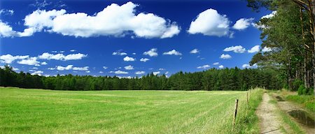 simsearch:400-07294681,k - panoramic view on grass field, forest and a path Photographie de stock - Aubaine LD & Abonnement, Code: 400-04027952