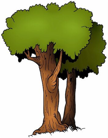 simsearch:400-04162983,k - Two Trees - cartoon illustration as vector Foto de stock - Super Valor sin royalties y Suscripción, Código: 400-04028567