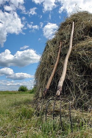 sherman (artist) - Photo of the stack of hay and pair of pitchfork Photographie de stock - Aubaine LD & Abonnement, Code: 400-04028577