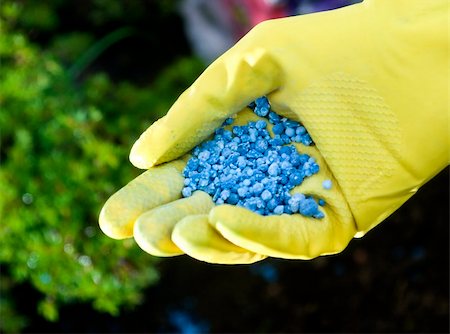 fertilization (improving soil quality) - Fertilizer in hands Stock Photo - Budget Royalty-Free & Subscription, Code: 400-04028700