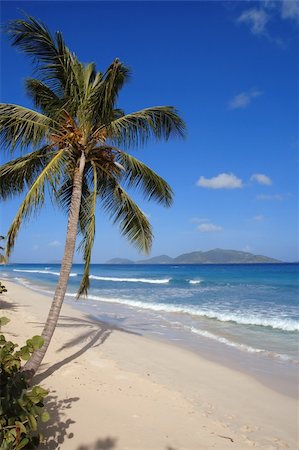 A beautiful deserted beach in the British Virgin Islands. Foto de stock - Super Valor sin royalties y Suscripción, Código: 400-04029215