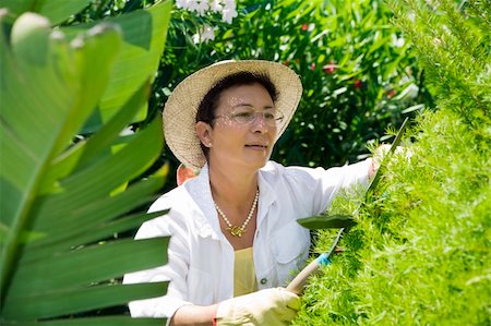 simsearch:400-04029831,k - Portrait of senior Italian woman gardening Fotografie stock - Microstock e Abbonamento, Codice: 400-04029827