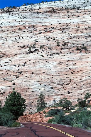 Zion National Park is a United States National Park located in the Southwestern United States, near Springdale, Utah. Stock Photo - Budget Royalty-Free & Subscription, Code: 400-04020713