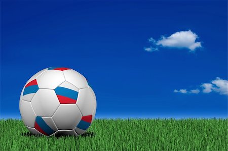 simsearch:400-05278443,k - Russian soccer ball laying on the grass Fotografie stock - Microstock e Abbonamento, Codice: 400-04021568
