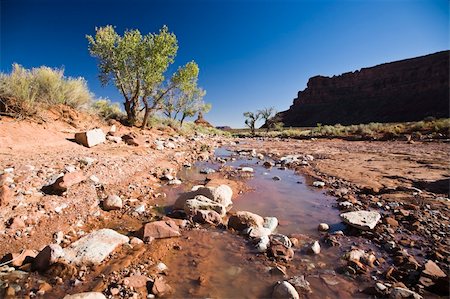 pinnacles desert - Brook in Valley of the gods in Utah, USA Foto de stock - Super Valor sin royalties y Suscripción, Código: 400-04021609