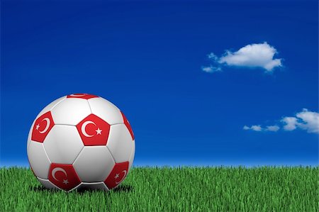 simsearch:400-08372849,k - Turkish soccer ball laying on the grass Stock Photo - Budget Royalty-Free & Subscription, Code: 400-04021709