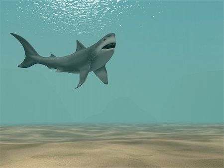 simsearch:400-08550702,k - The 3d shark, floating at ocean Stock Photo - Budget Royalty-Free & Subscription, Code: 400-04022856