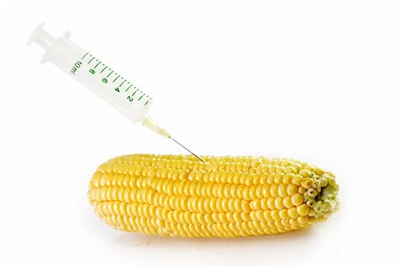 Corn crop with syringe on bright background Foto de stock - Super Valor sin royalties y Suscripción, Código: 400-04023983