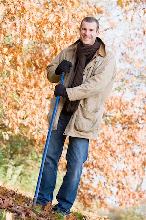 raking leaves - Man tidying autumn leaves in garden Stock Photo - Budget Royalty-Free & Subscription, Code: 400-04035066