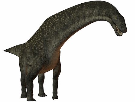 simsearch:400-03913382,k - 3D Render of an Titanosaurus colberti-3D Dinosaur Stock Photo - Budget Royalty-Free & Subscription, Code: 400-04035434