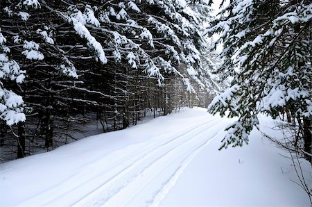 simsearch:400-04014691,k - Winter landscape with snowy trees and snowmobile path Stock Photo - Budget Royalty-Free & Subscription, Code: 400-04038164