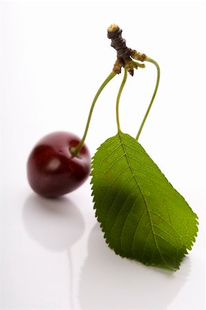 simsearch:400-04864980,k - The Wild Cherry or Sweet Cherry on the white background. Photographie de stock - Aubaine LD & Abonnement, Code: 400-04038663