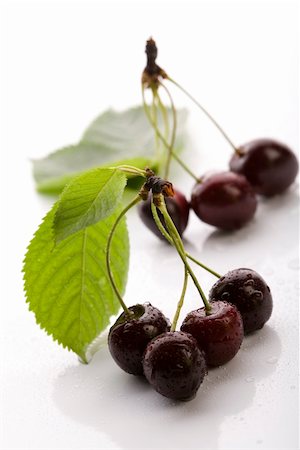 simsearch:400-04864980,k - The Wild Cherry or Sweet Cherry on the white background. Photographie de stock - Aubaine LD & Abonnement, Code: 400-04038671