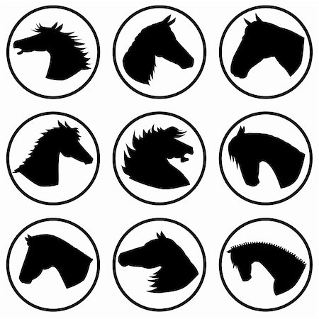 different horse heads in different situations Stock Photo - Budget Royalty-Free & Subscription, Code: 400-04039258