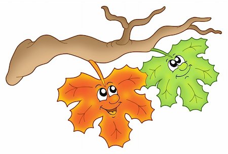 simsearch:400-08710477,k - Pair of autumn leaves on branch - color illustration. Stock Photo - Budget Royalty-Free & Subscription, Code: 400-04030082