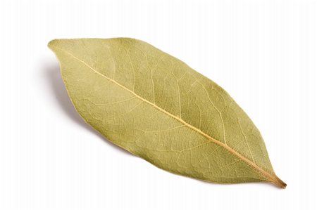 dimol (artist) - Bay leaf isolated on white background Stock Photo - Budget Royalty-Free & Subscription, Code: 400-04030370
