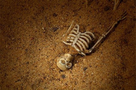 people buried in the sand - Spooky Buried Skeleton bones Stock Photo - Budget Royalty-Free & Subscription, Code: 400-04030919