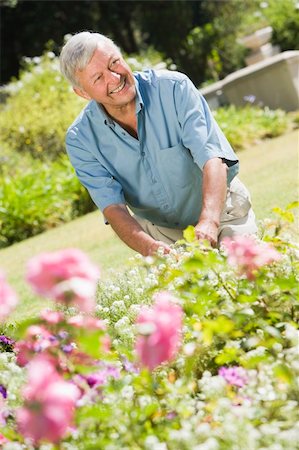 simsearch:6115-08105142,k - Senior man working in garden using trowel Stockbilder - Microstock & Abonnement, Bildnummer: 400-04031425
