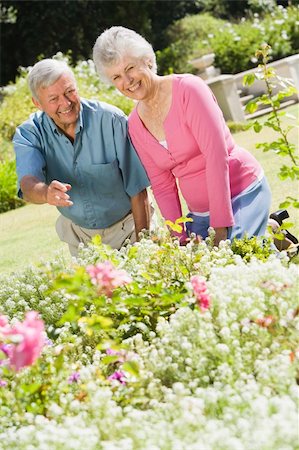 Senior couple working together in garden Stock Photo - Budget Royalty-Free & Subscription, Code: 400-04031426