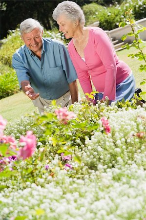 Senior couple working in garden flowerbed Stock Photo - Budget Royalty-Free & Subscription, Code: 400-04031427